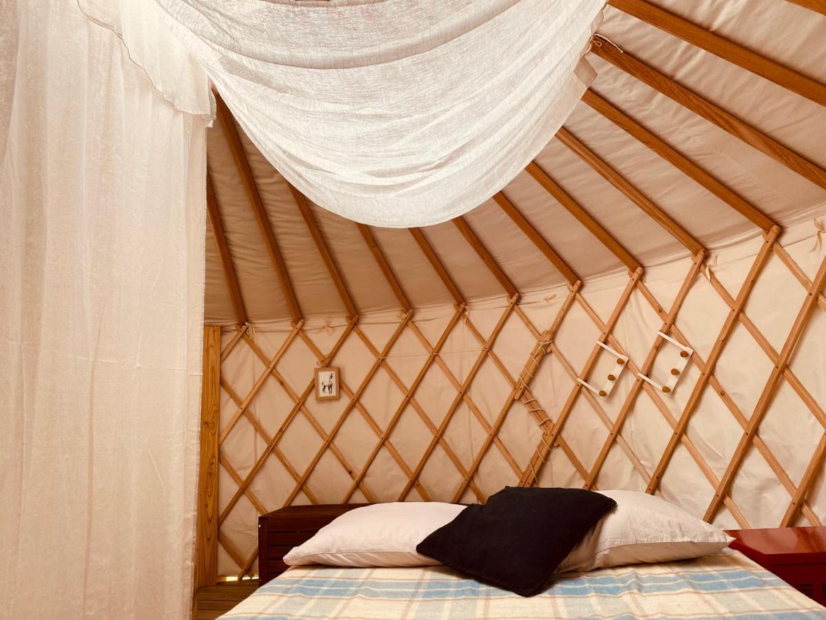 Yourte Et Son Bain Nordique Frechet-Aure Exteriör bild